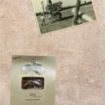 14643024_10154615149918599_1020142814_n