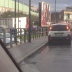 15841491_10154750068736145_525446761_n